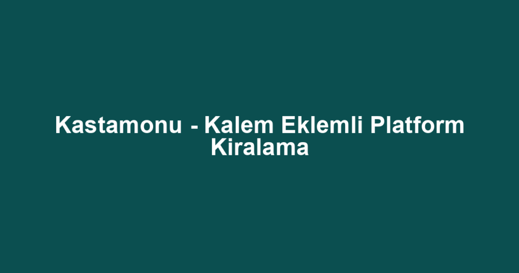 Kastamonu - Kalem Eklemli Platform Kiralama