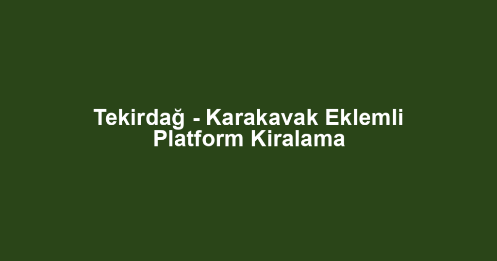 Tekirdağ - Karakavak Eklemli Platform Kiralama