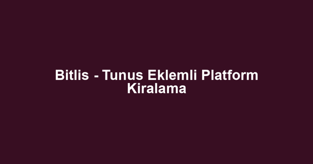Bitlis - Tunus Eklemli Platform Kiralama
