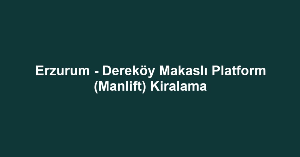 Erzurum - Dereköy Makaslı Platform (Manlift) Kiralama