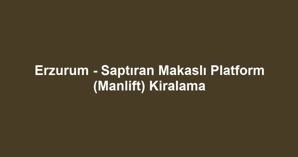Erzurum - Saptıran Makaslı Platform (Manlift) Kiralama