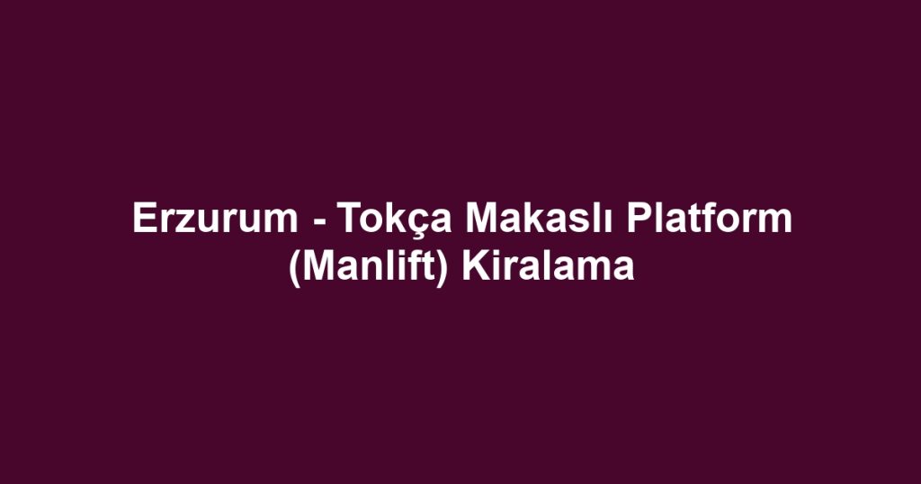 Erzurum - Tokça Makaslı Platform (Manlift) Kiralama