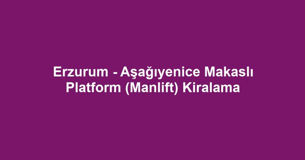 Erzurum - Aşağıyenice Makaslı Platform (Manlift) Kiralama