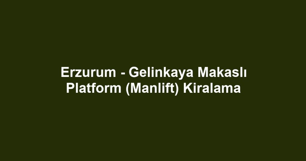 Erzurum - Gelinkaya Makaslı Platform (Manlift) Kiralama