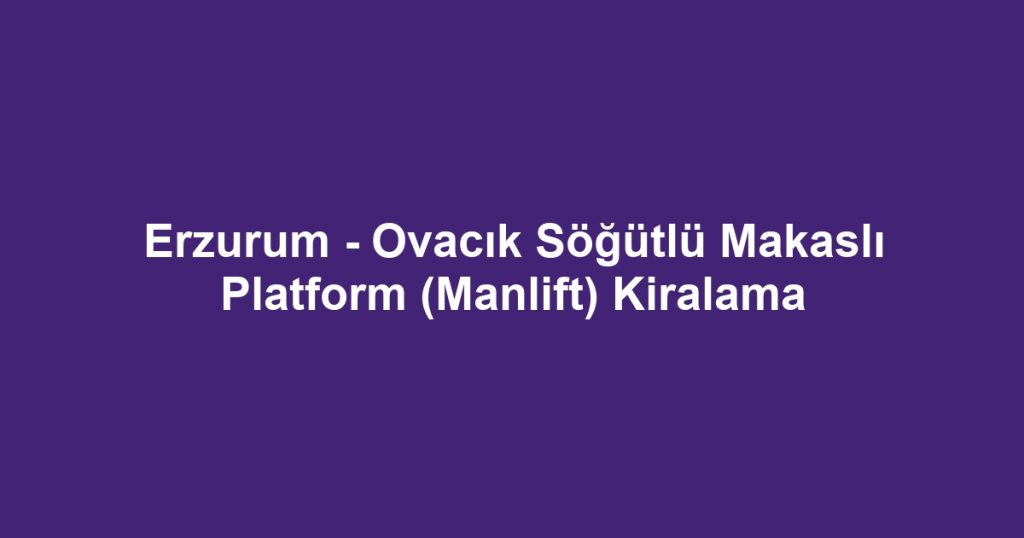 Erzurum - Ovacık Söğütlü Makaslı Platform (Manlift) Kiralama
