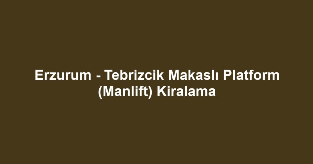 Erzurum - Tebrizcik Makaslı Platform (Manlift) Kiralama