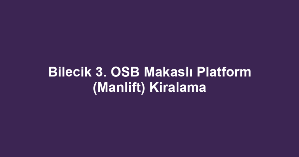 Bilecik 3. OSB Makaslı Platform (Manlift) Kiralama