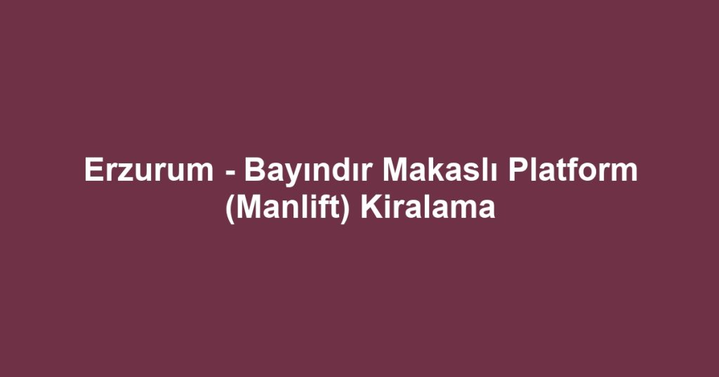 Erzurum - Bayındır Makaslı Platform (Manlift) Kiralama