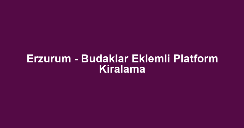 Erzurum - Budaklar Eklemli Platform Kiralama