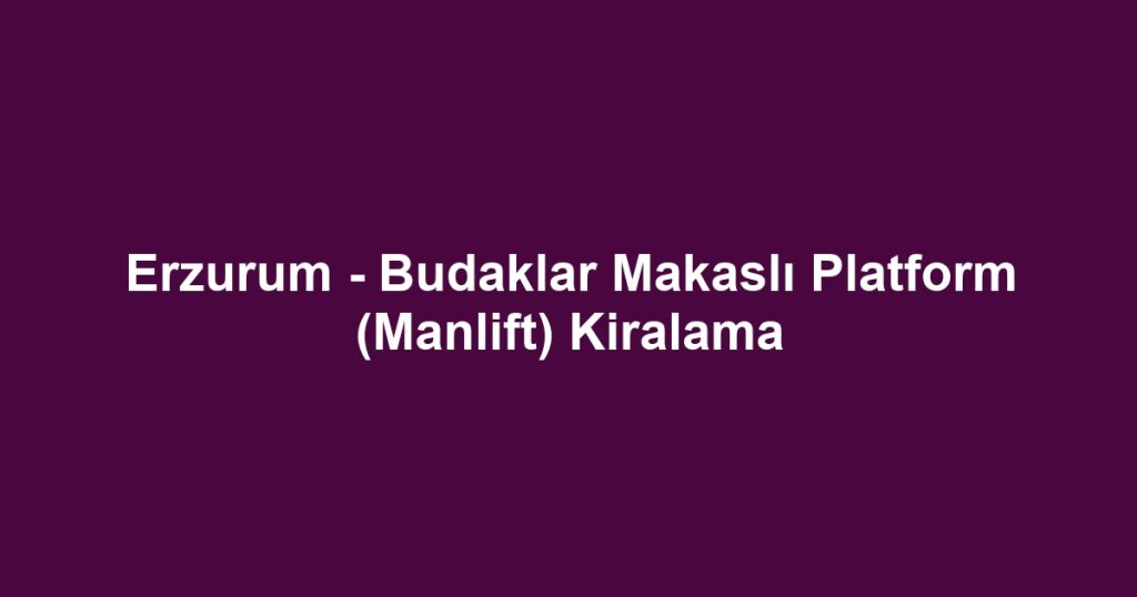 Erzurum - Budaklar Makaslı Platform (Manlift) Kiralama