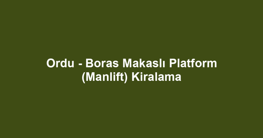 Ordu - Boras Makaslı Platform (Manlift) Kiralama