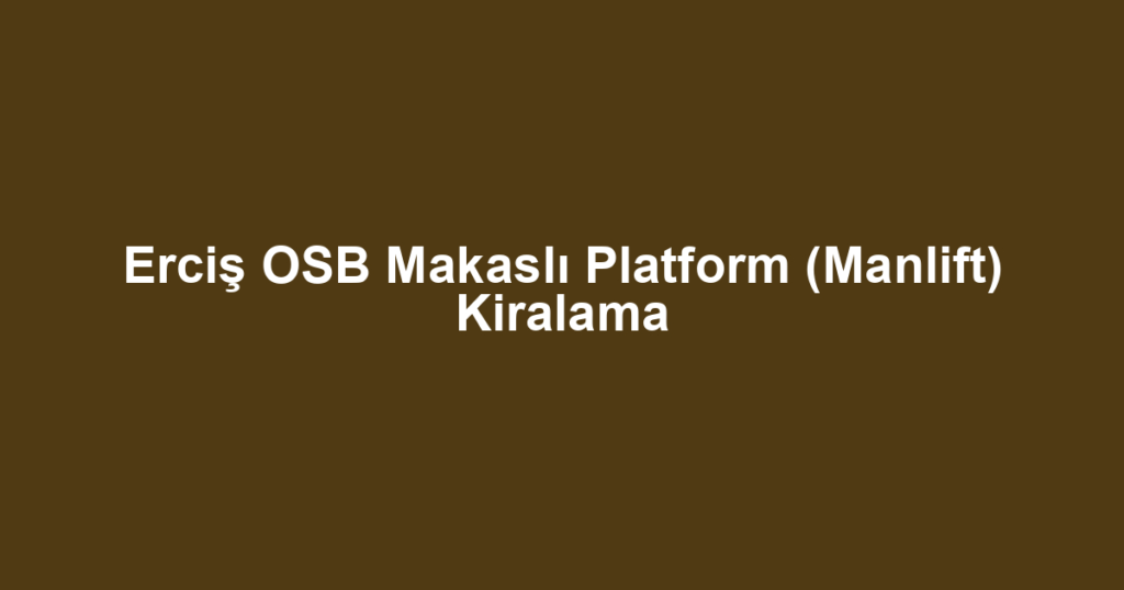 Erciş OSB Makaslı Platform (Manlift) Kiralama