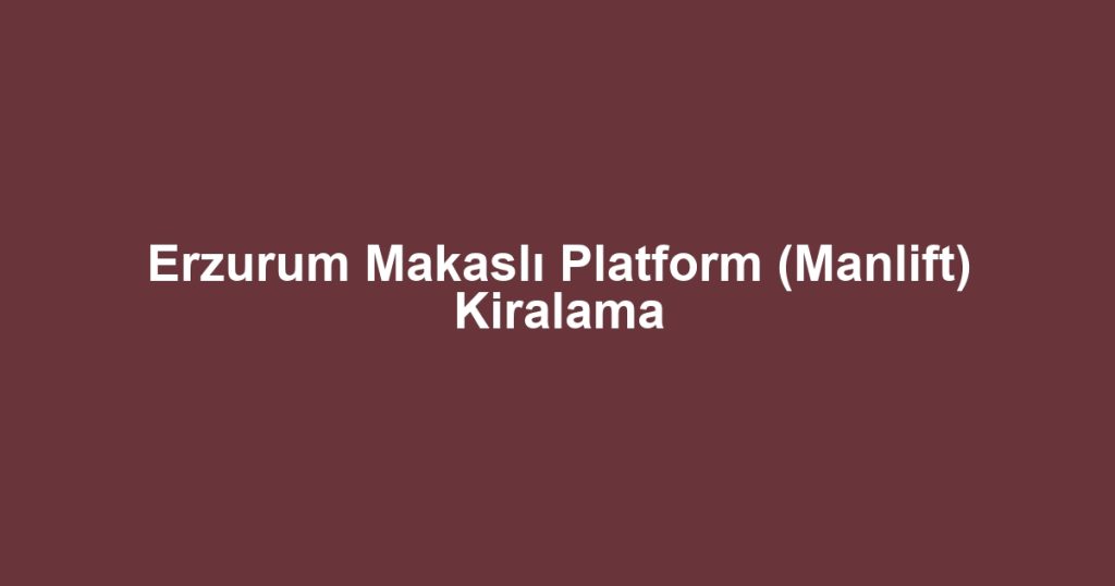 Erzurum Makaslı Platform (Manlift) Kiralama