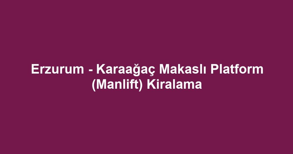 Erzurum - Karaağaç Makaslı Platform (Manlift) Kiralama