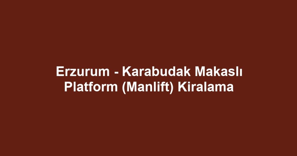 Erzurum - Karabudak Makaslı Platform (Manlift) Kiralama