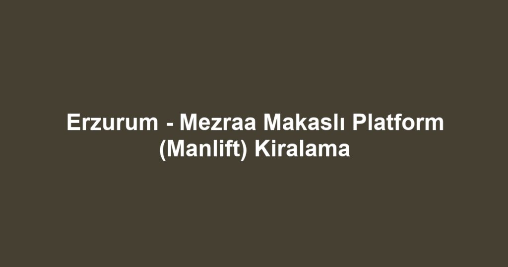Erzurum - Mezraa Makaslı Platform (Manlift) Kiralama
