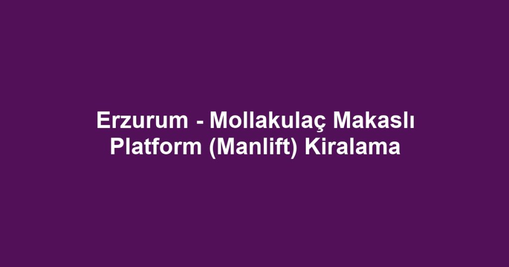 Erzurum - Mollakulaç Makaslı Platform (Manlift) Kiralama