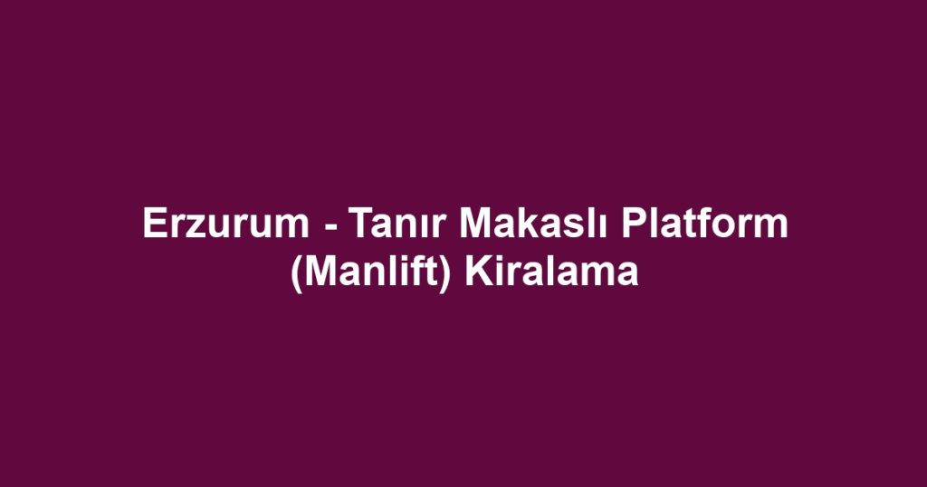 Erzurum - Tanır Makaslı Platform (Manlift) Kiralama