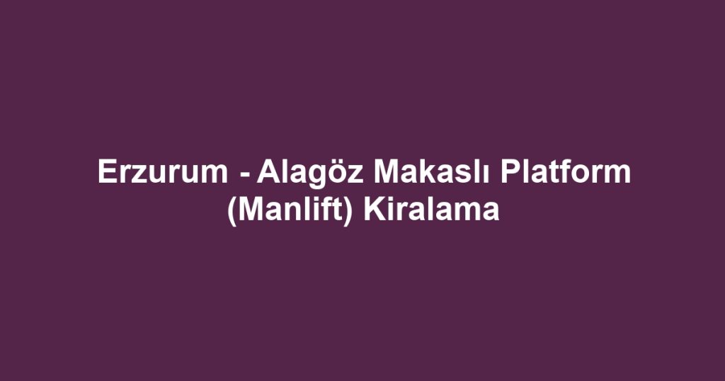 Erzurum - Alagöz Makaslı Platform (Manlift) Kiralama