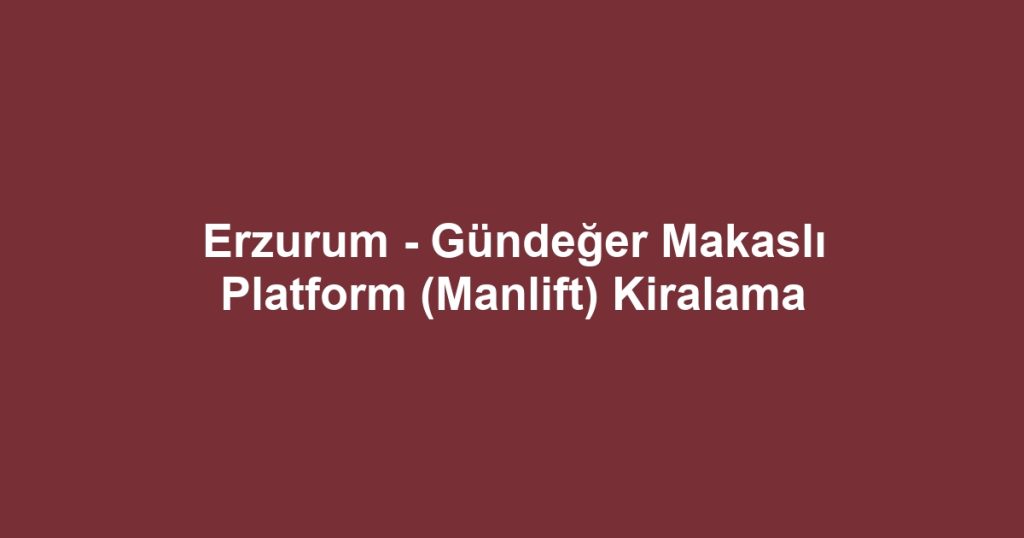 Erzurum - Gündeğer Makaslı Platform (Manlift) Kiralama