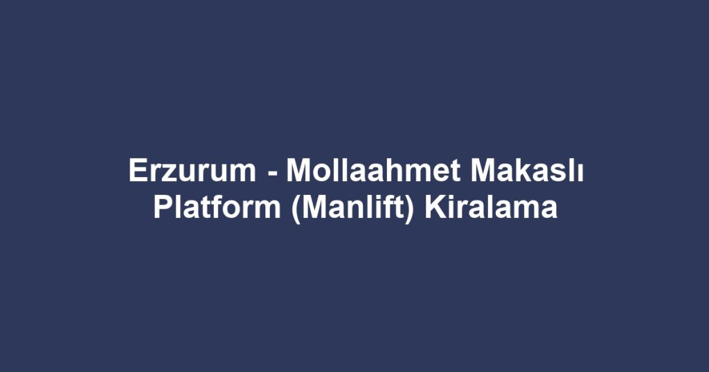 Erzurum - Mollaahmet Makaslı Platform (Manlift) Kiralama