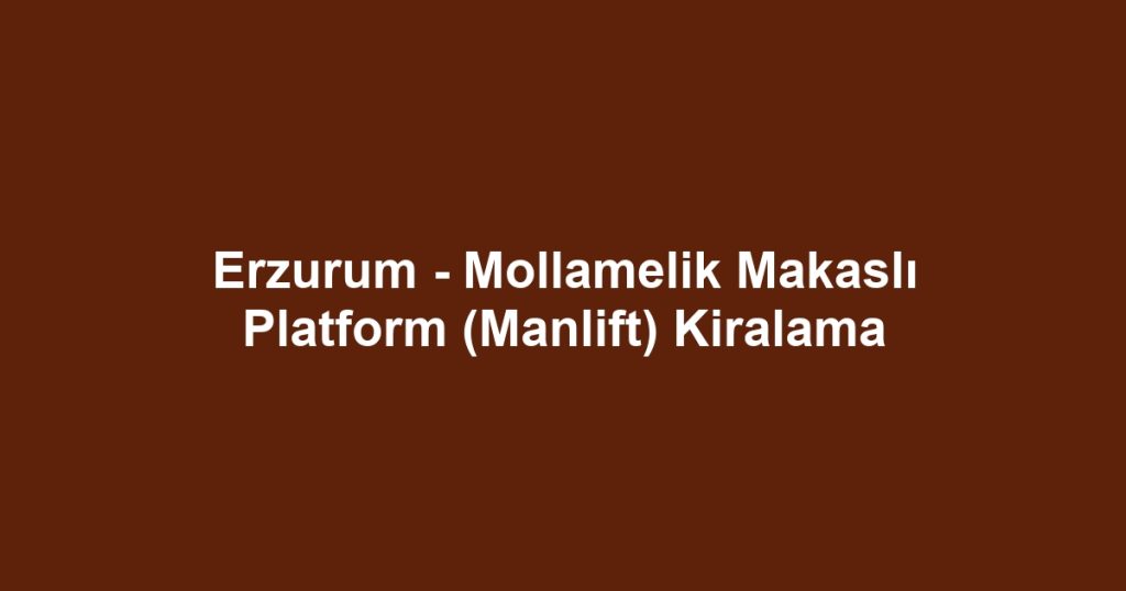 Erzurum - Mollamelik Makaslı Platform (Manlift) Kiralama