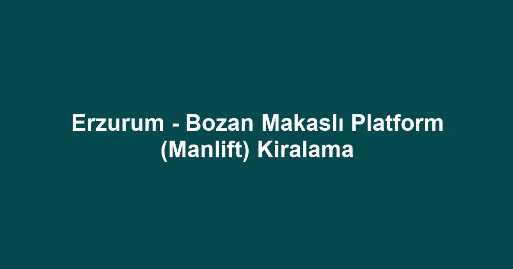 Erzurum - Bozan Makaslı Platform (Manlift) Kiralama