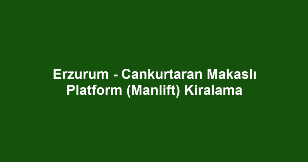 Erzurum - Cankurtaran Makaslı Platform (Manlift) Kiralama