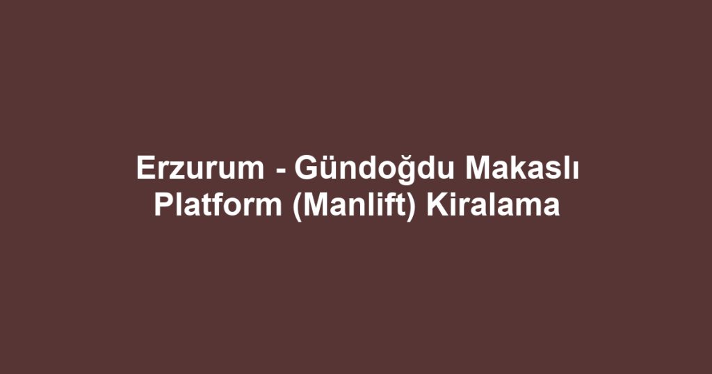 Erzurum - Gündoğdu Makaslı Platform (Manlift) Kiralama