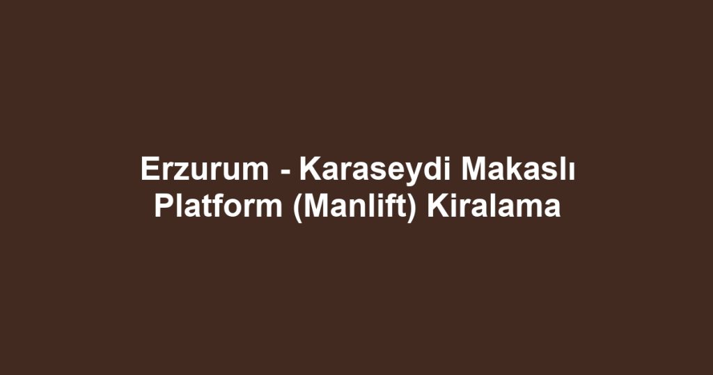 Erzurum - Karaseydi Makaslı Platform (Manlift) Kiralama