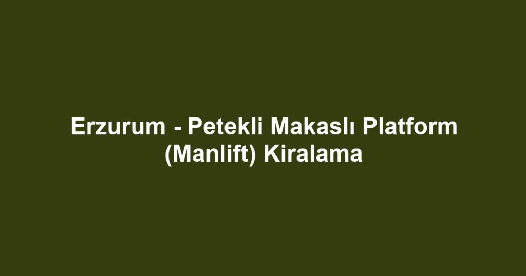 Erzurum - Petekli Makaslı Platform (Manlift) Kiralama
