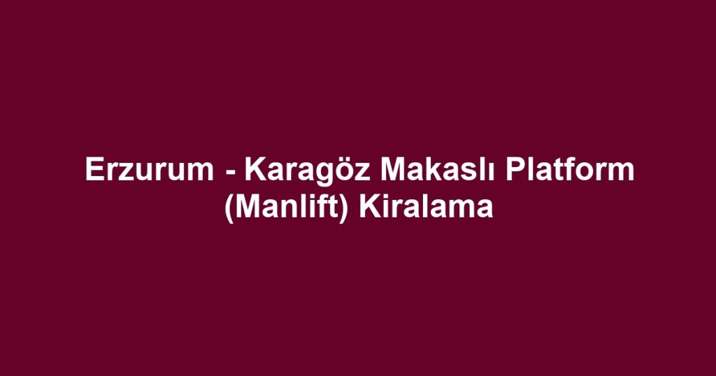 Erzurum - Karagöz Makaslı Platform (Manlift) Kiralama