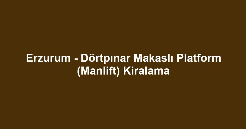 Erzurum - Dörtpınar Makaslı Platform (Manlift) Kiralama