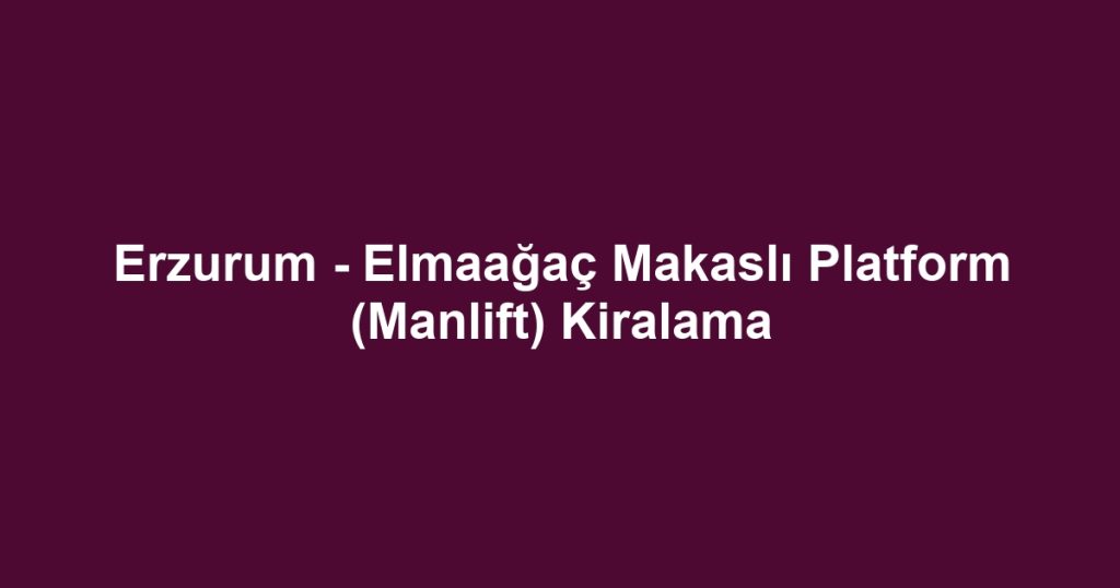 Erzurum - Elmaağaç Makaslı Platform (Manlift) Kiralama