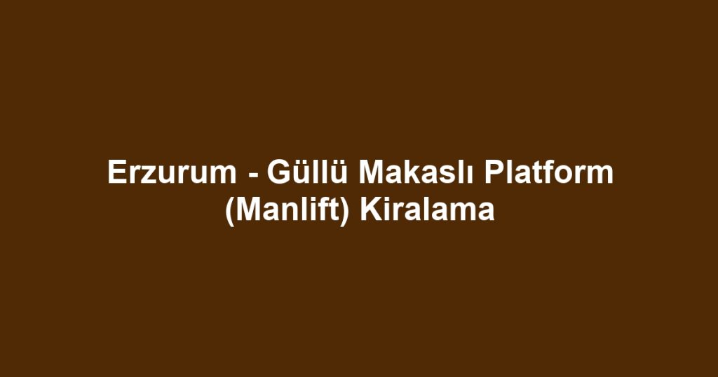 Erzurum - Güllü Makaslı Platform (Manlift) Kiralama
