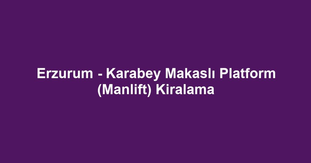 Erzurum - Karabey Makaslı Platform (Manlift) Kiralama