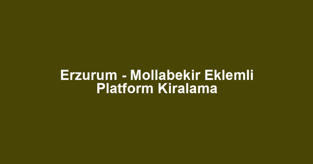 Erzurum - Mollabekir Eklemli Platform Kiralama