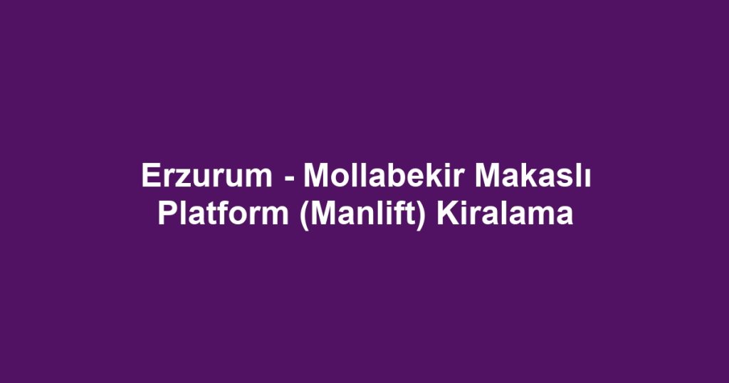 Erzurum - Mollabekir Makaslı Platform (Manlift) Kiralama