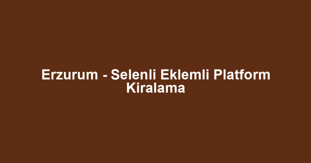Erzurum - Selenli Eklemli Platform Kiralama