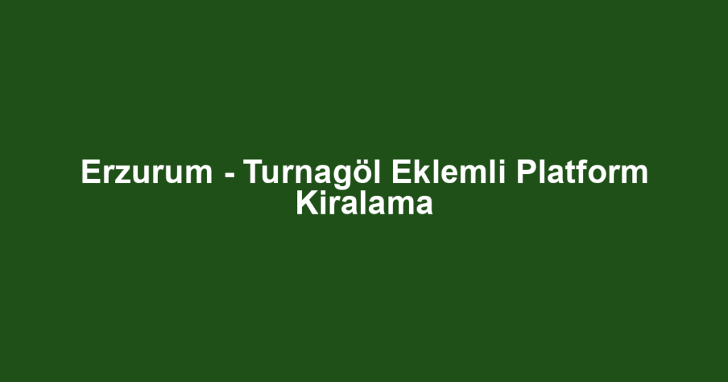 Erzurum - Turnagöl Eklemli Platform Kiralama