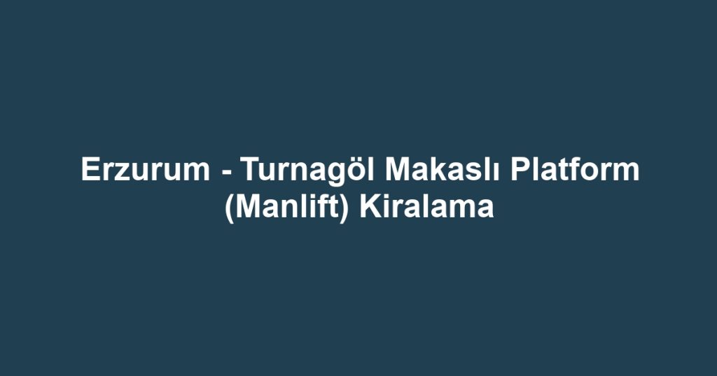 Erzurum - Turnagöl Makaslı Platform (Manlift) Kiralama