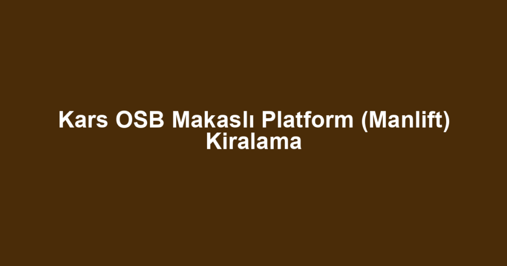 Kars OSB Makaslı Platform (Manlift) Kiralama