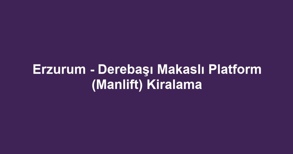 Erzurum - Derebaşı Makaslı Platform (Manlift) Kiralama