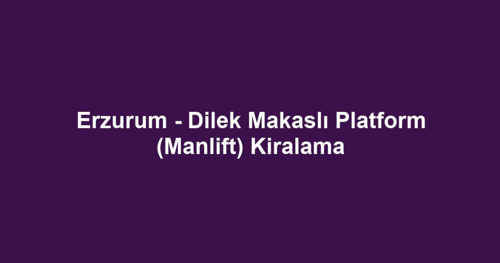 Erzurum - Dilek Makaslı Platform (Manlift) Kiralama