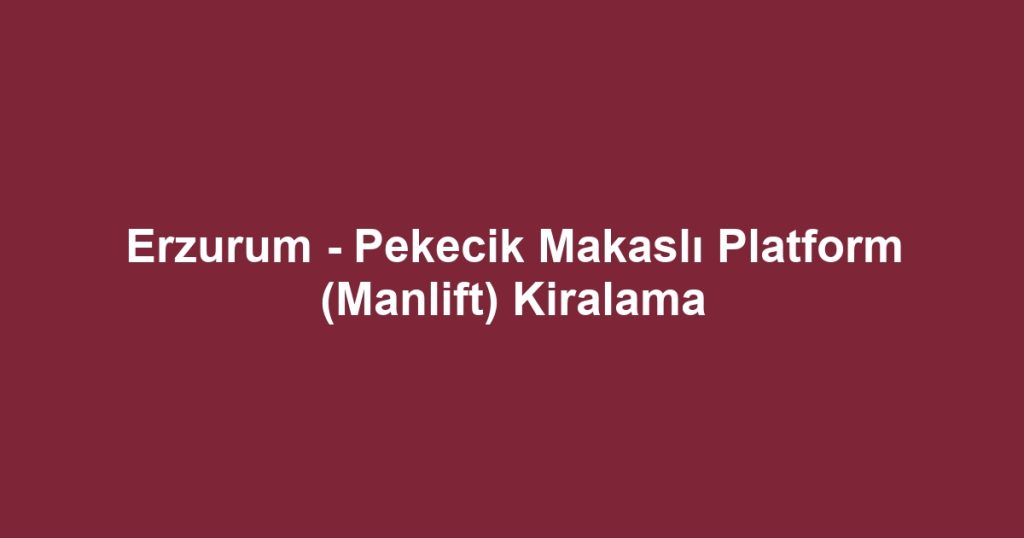 Erzurum - Pekecik Makaslı Platform (Manlift) Kiralama
