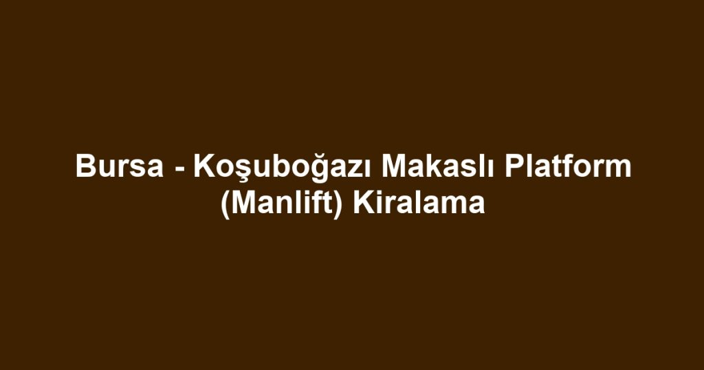 Bursa - Koşuboğazı Makaslı Platform (Manlift) Kiralama