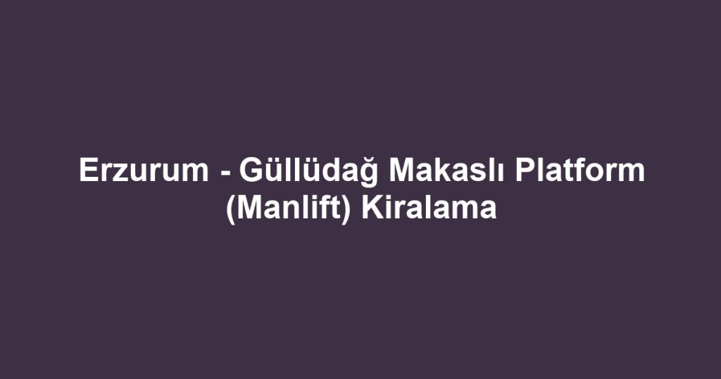 Erzurum - Güllüdağ Makaslı Platform (Manlift) Kiralama