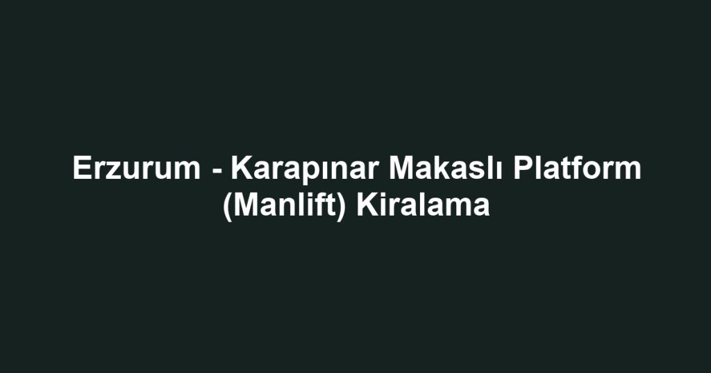 Erzurum - Karapınar Makaslı Platform (Manlift) Kiralama
