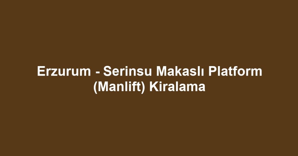 Erzurum - Serinsu Makaslı Platform (Manlift) Kiralama