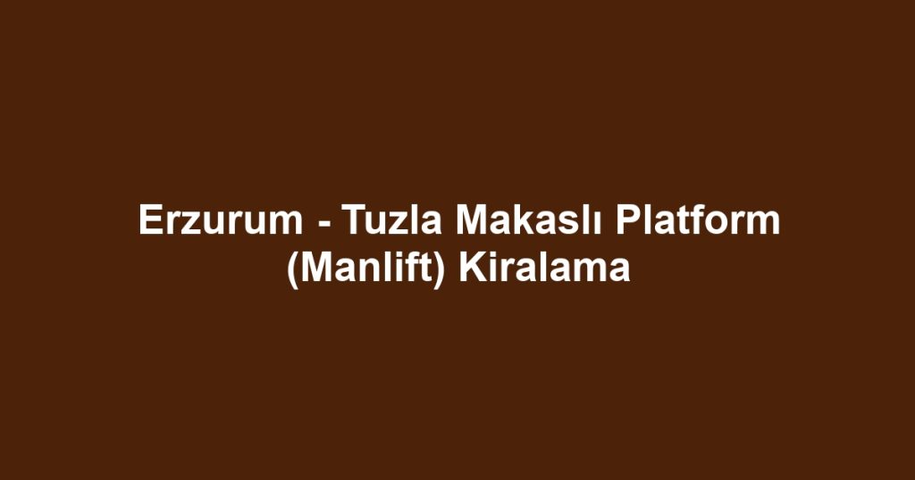 Erzurum - Tuzla Makaslı Platform (Manlift) Kiralama